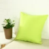 Housse de Coussin 40x40 Vert anis